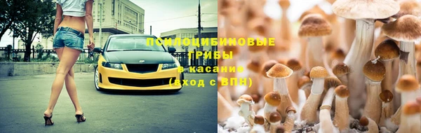 соль ск Аркадак