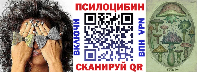 Купить закладки  Баксан  Псилоцибиновые грибы ЛСД 